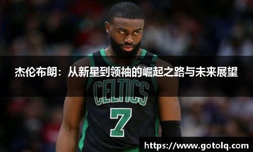 球速体育平台登录入口