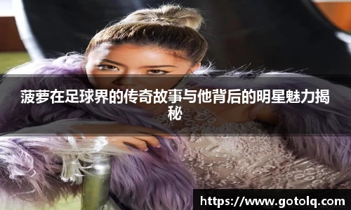 球速体育平台登录入口