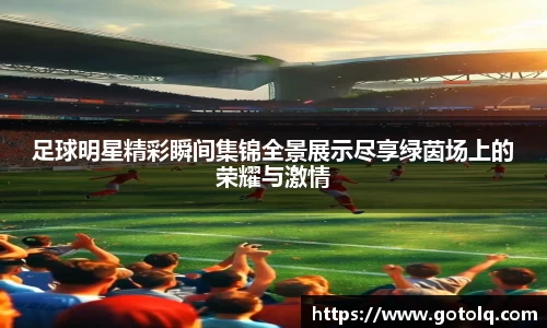 球速体育平台登录入口