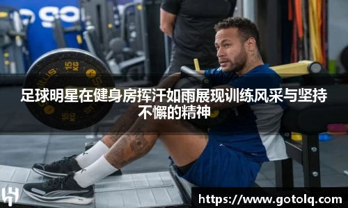 球速体育平台登录入口